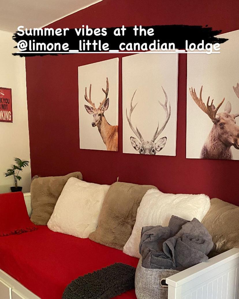 Little Canadian Lodge, Limone Limone Piemonte Buitenkant foto